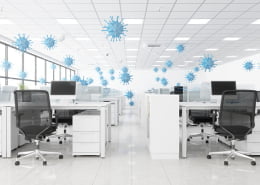 Disinfectant and Sanitisation Rugby